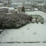 Hiver 2010