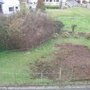 Le jardin prend forme